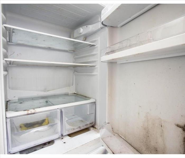 Mold in refrigerator