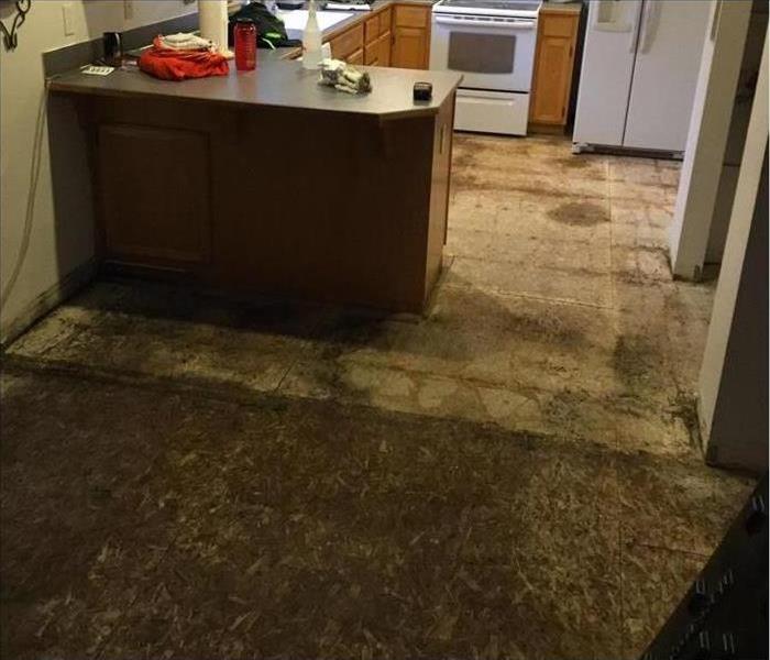 Mold growing on kitchen floor in Auburn, WA